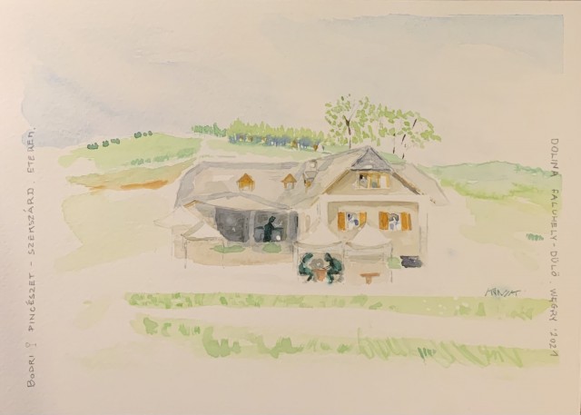 BODRI PINCESZT SZEKSZARD, AKWARELA, 40X30, 2021