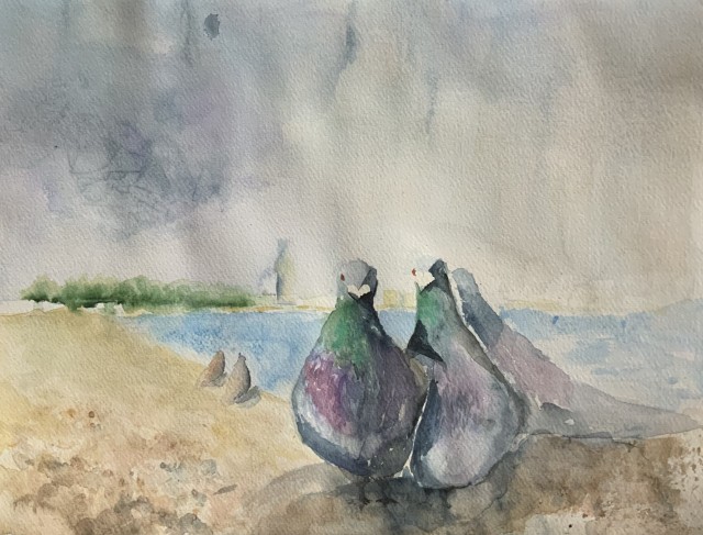 GOŁĘBIE, AKWARELA, 40X30, 2013